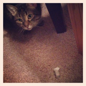 Molly --- and ROLAIDS