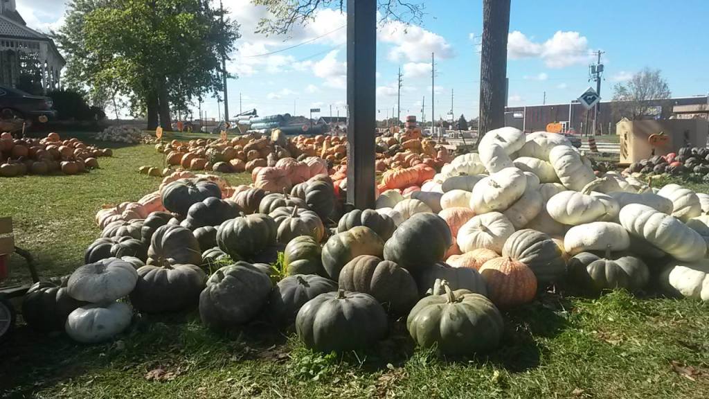gourds